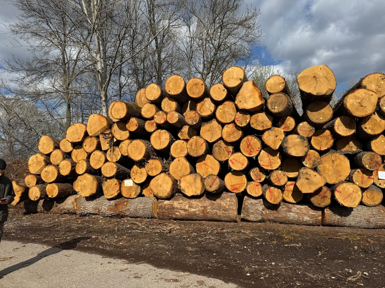 Log yard